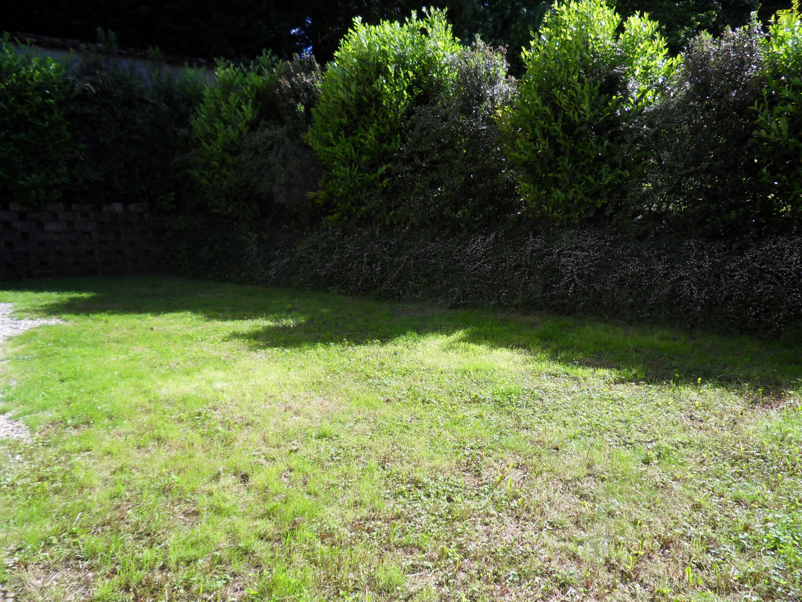 Image_, Maison, Cailloux-sur-Fontaines, ref :00552