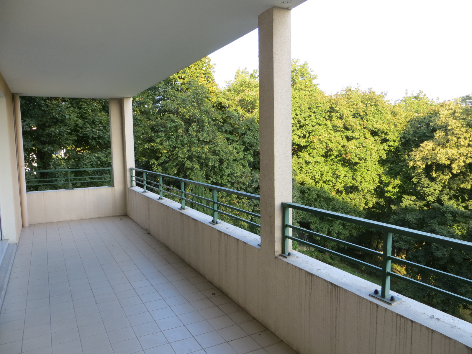 Image_, Appartement, Lyon, ref :VAP100002526