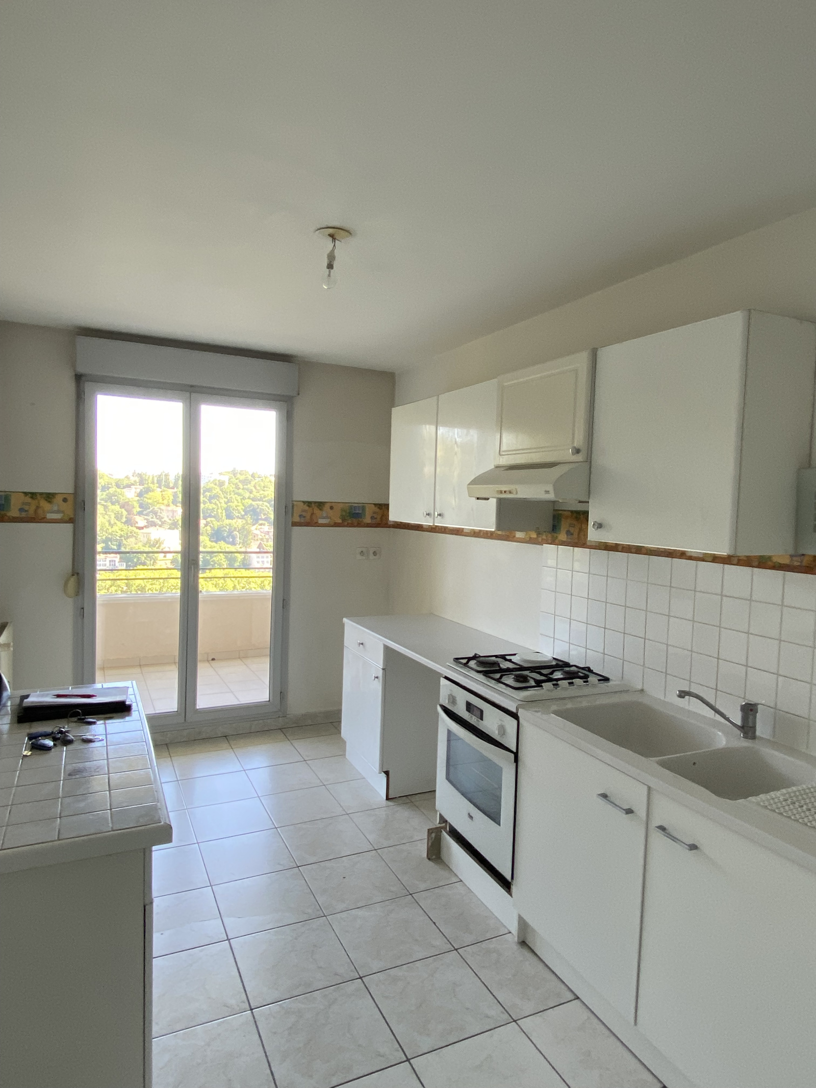 Image_, Appartement, Lyon, ref :VAP100002526