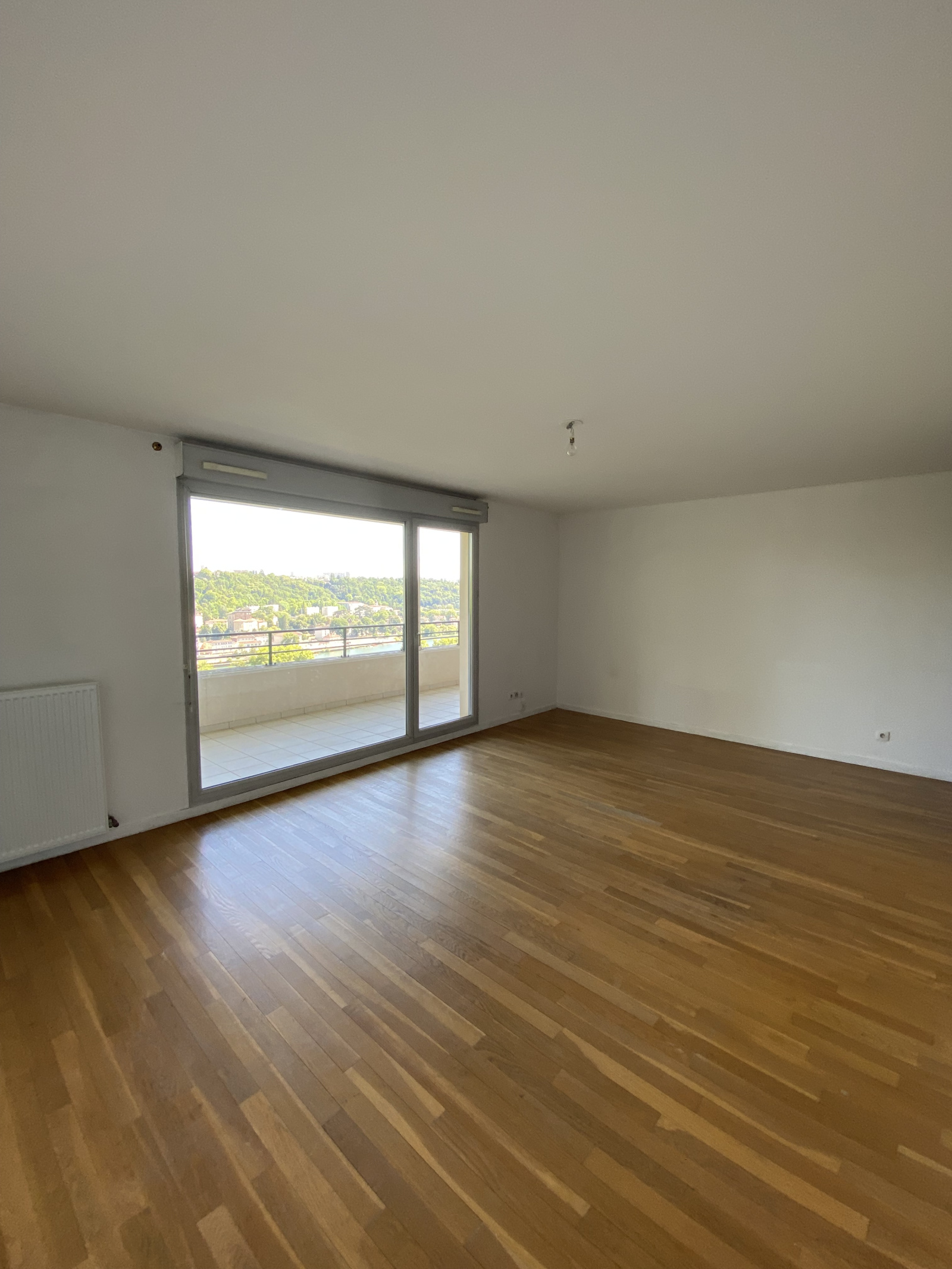 Image_, Appartement, Lyon, ref :VAP100002526