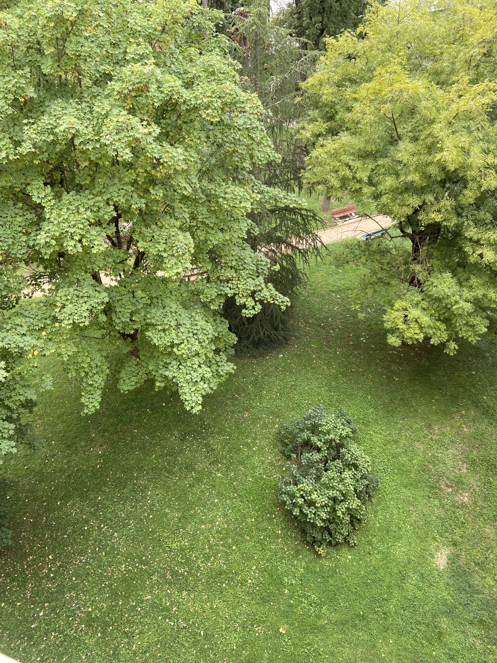 Image_, Appartement, Sainte Foy lès Lyon, ref :VAP100002536