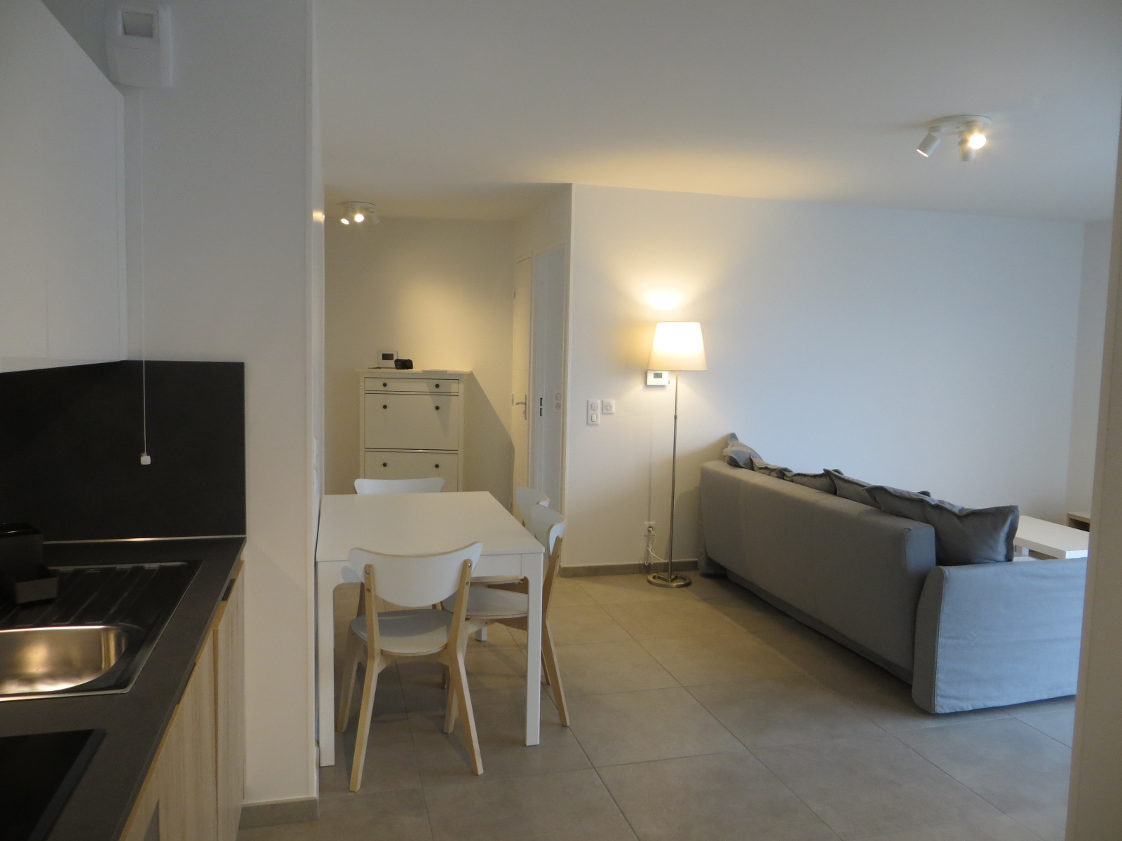 Image_, Appartement, Lyon, ref :LAP150002309