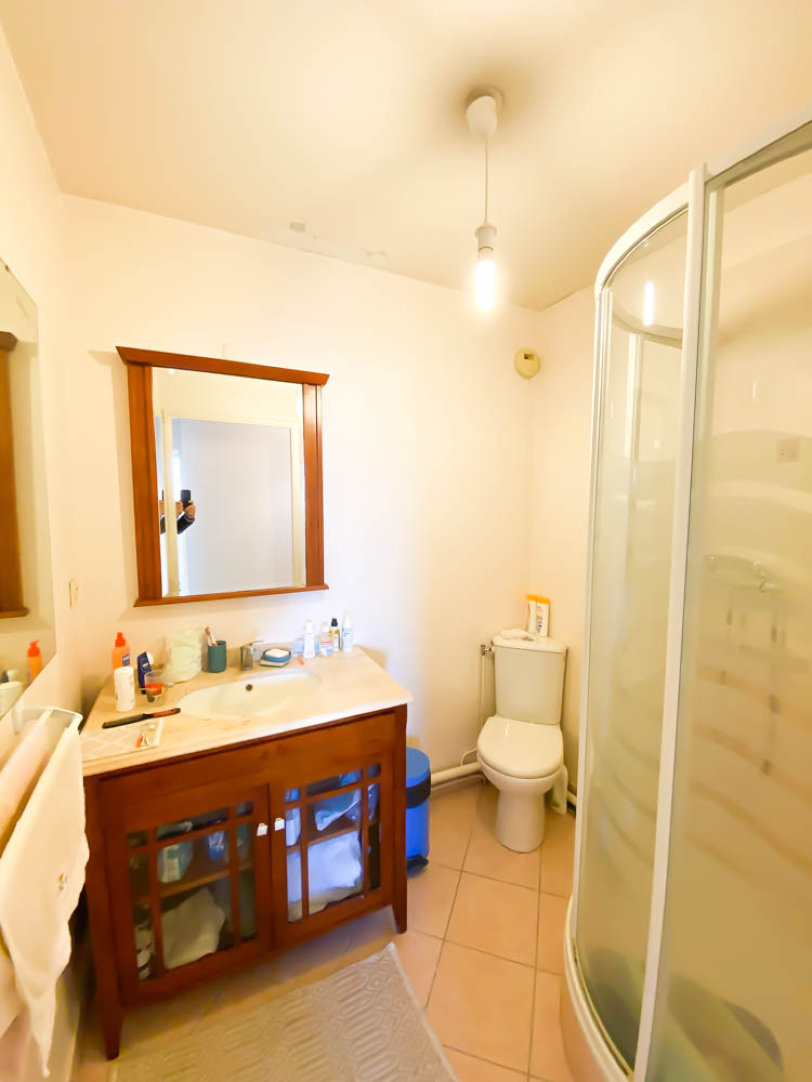 Image_, Appartement, Sainte Foy lès Lyon, ref :VAP100002521