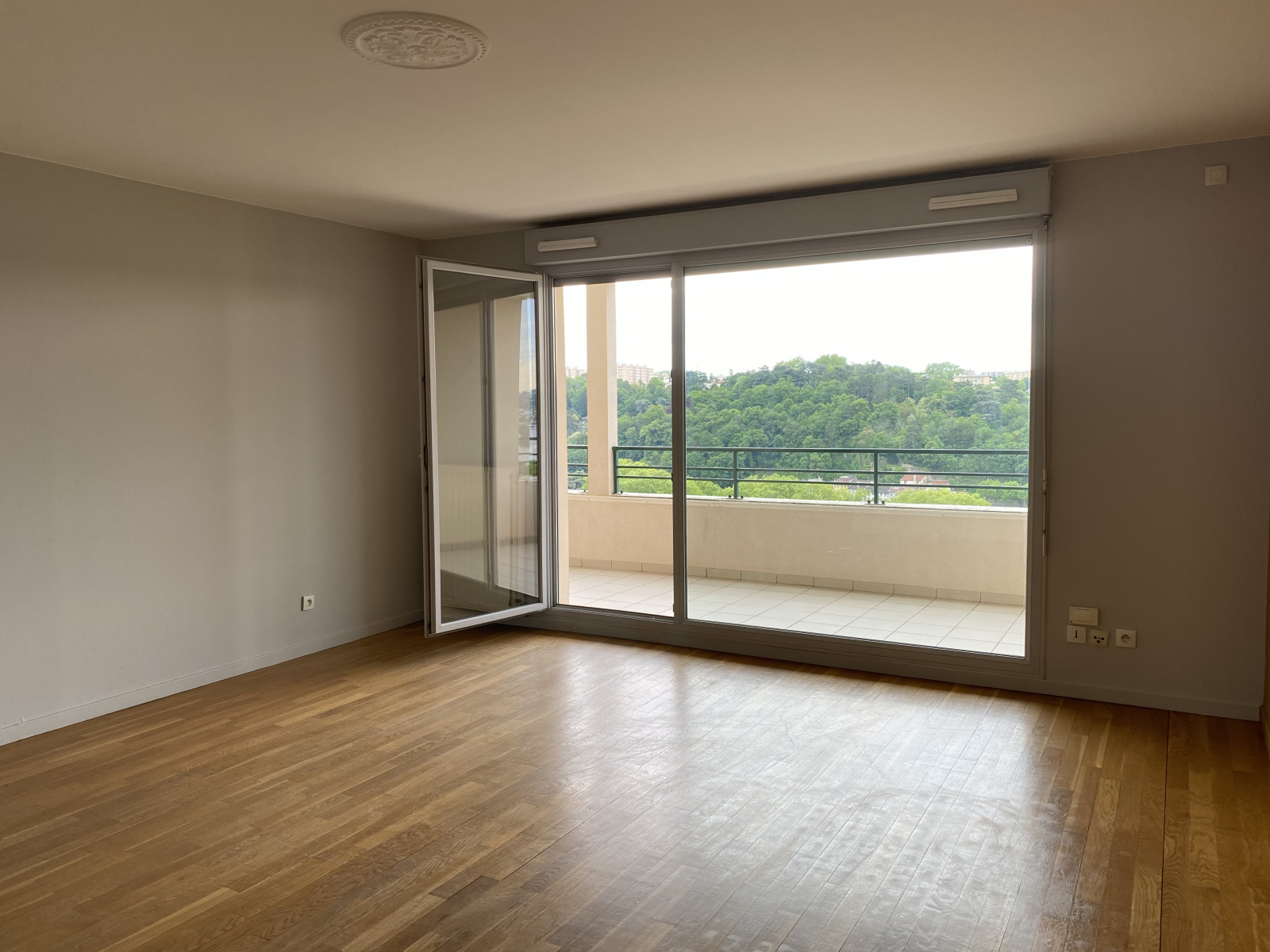 Image_, Appartement, Lyon, ref :00198