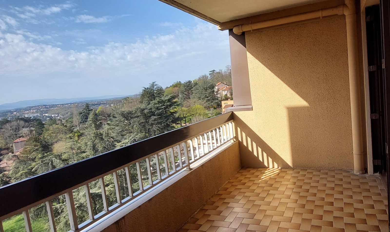 Image_, Appartement, Sainte Foy lès Lyon, ref :VAP130002408