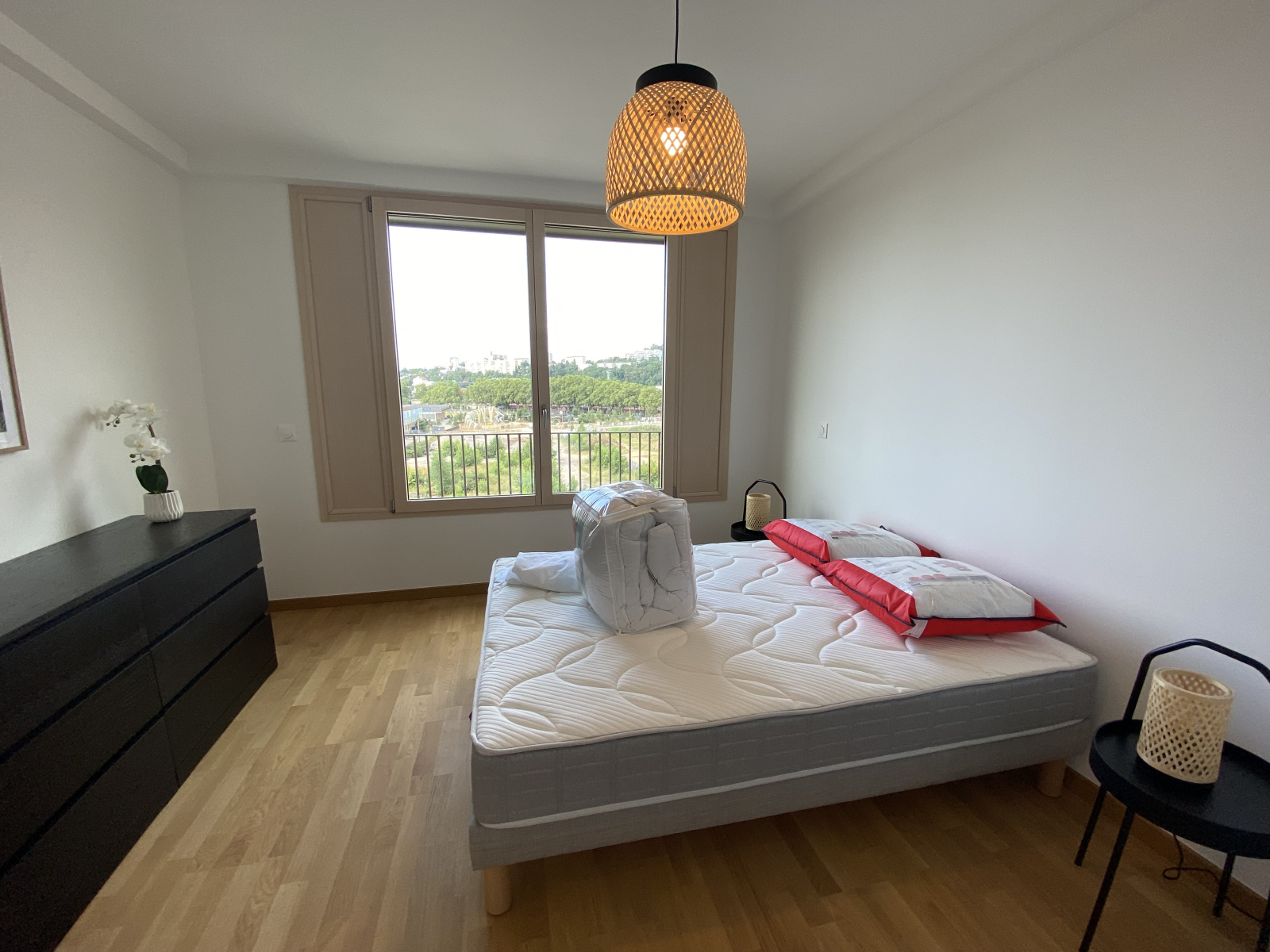 Image_, Appartement, Lyon, ref :LAP230002490