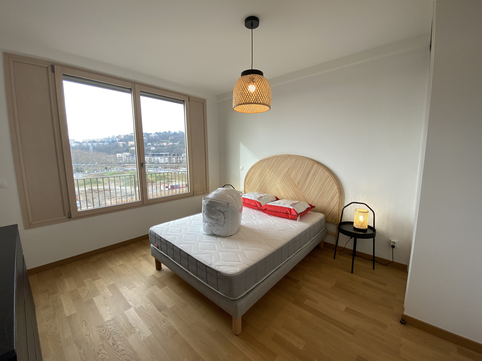 Image_, Appartement, Lyon, ref :LAP230002490