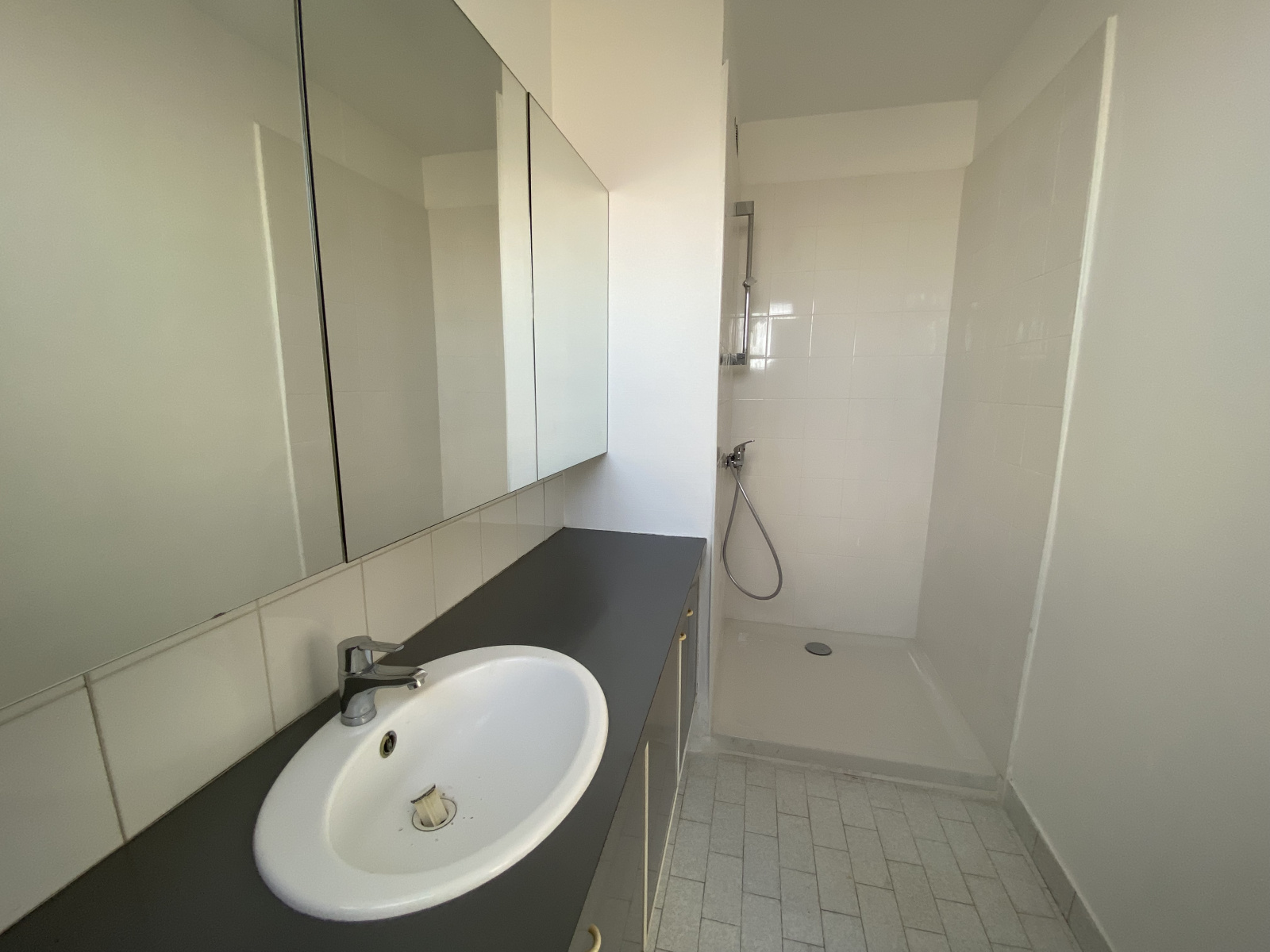 Image_, Appartement, Lyon, ref :01093