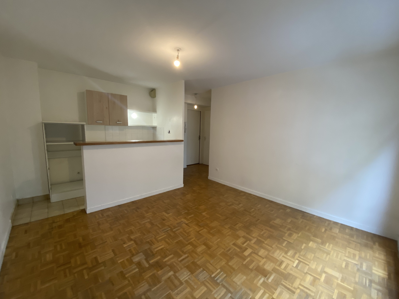 Image_, Appartement, Lyon, ref :VAP100002541