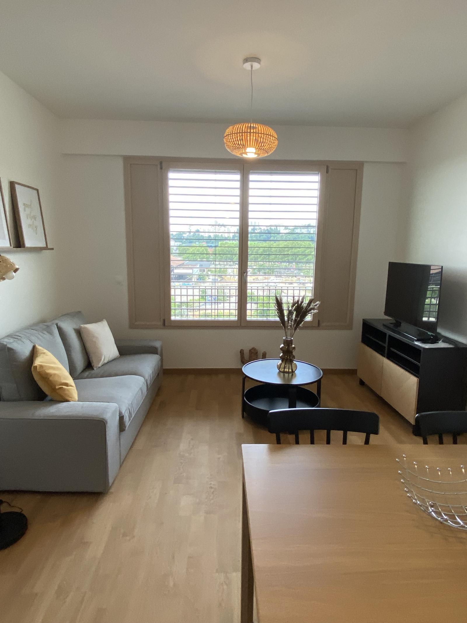 Image_, Appartement, Lyon, ref :LAP230002487