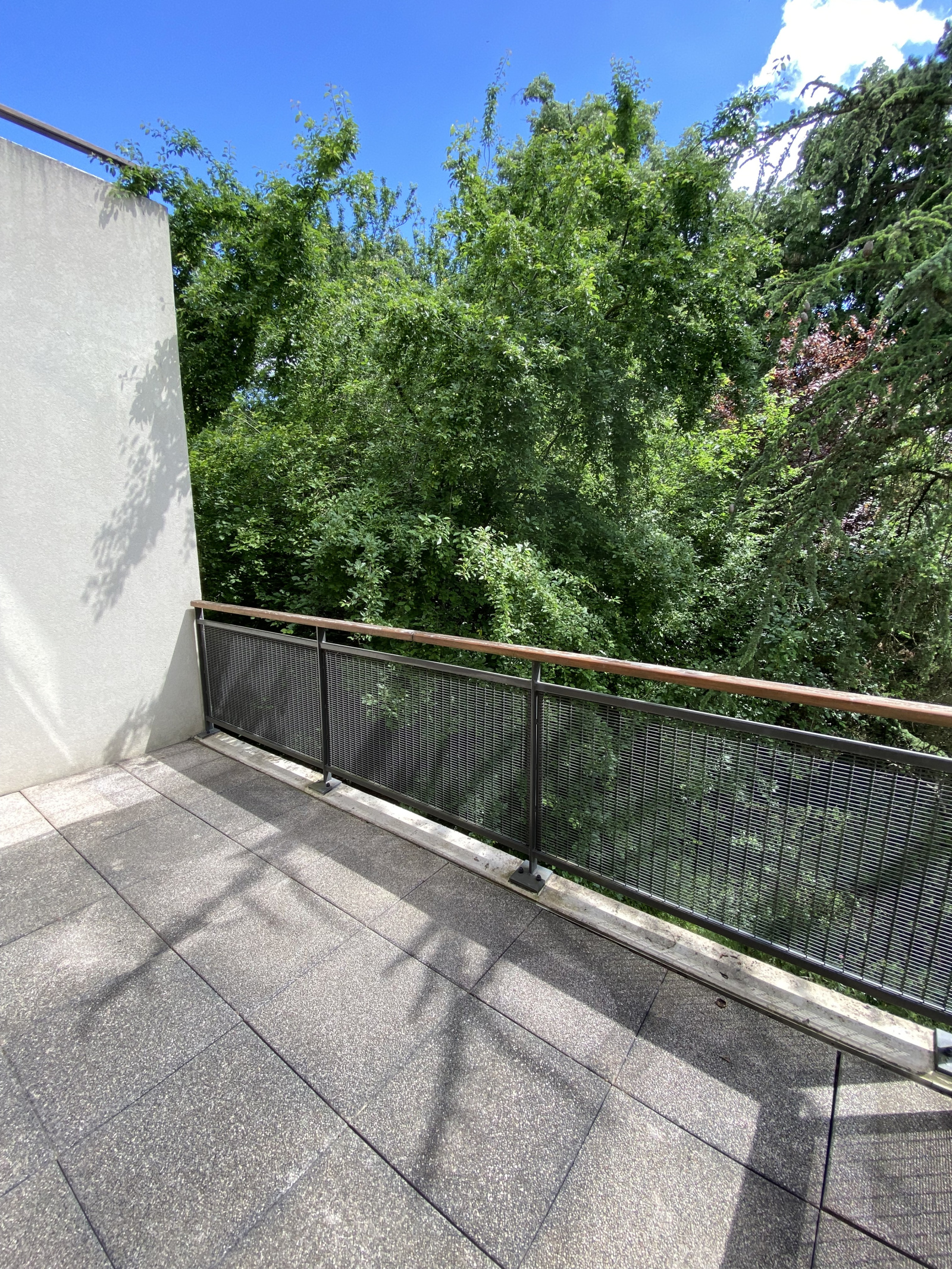 Image_, Duplex, Lyon, ref :VAP100002561