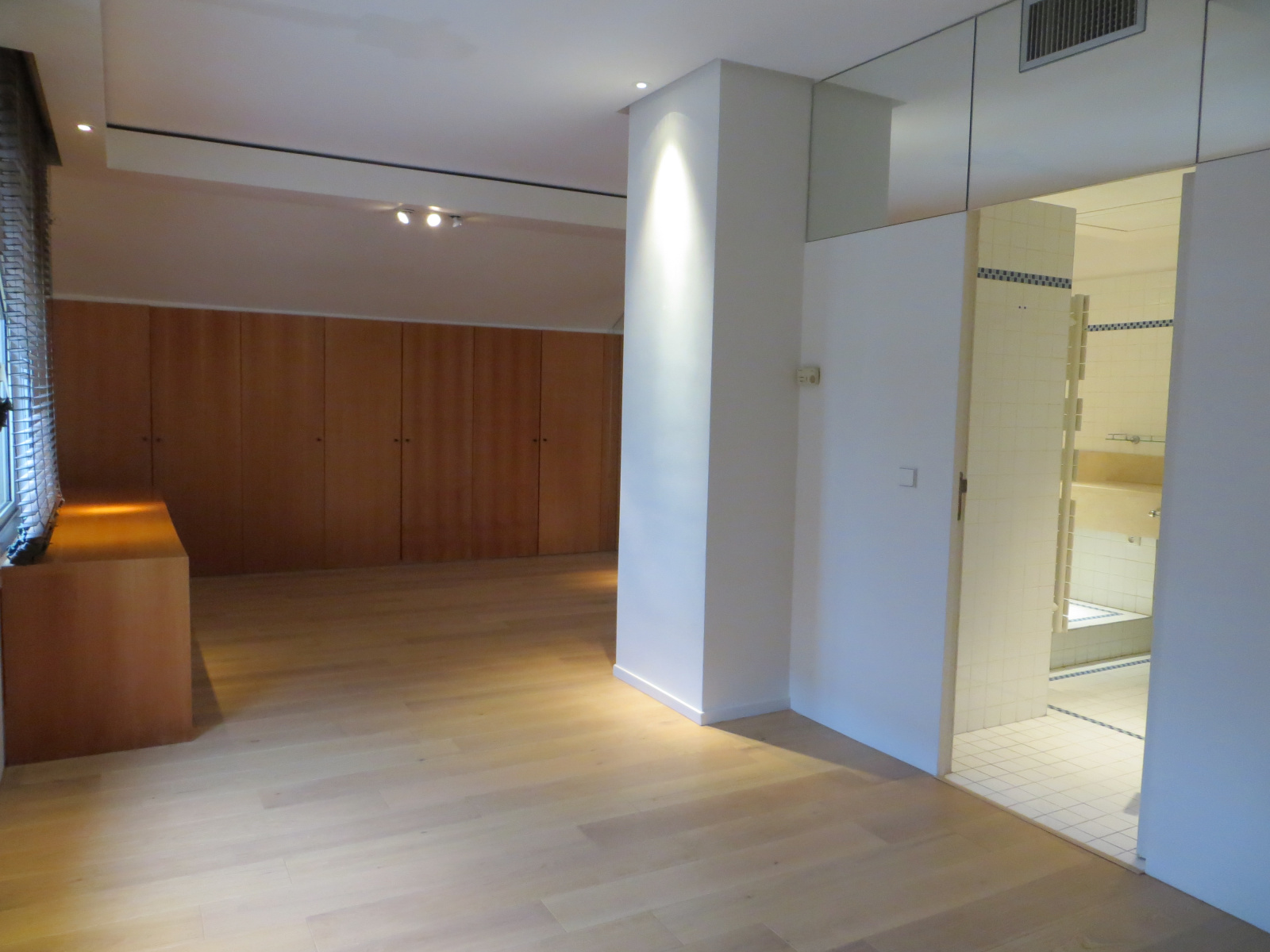 Image_, Appartement, Lyon, ref :VAP100002523