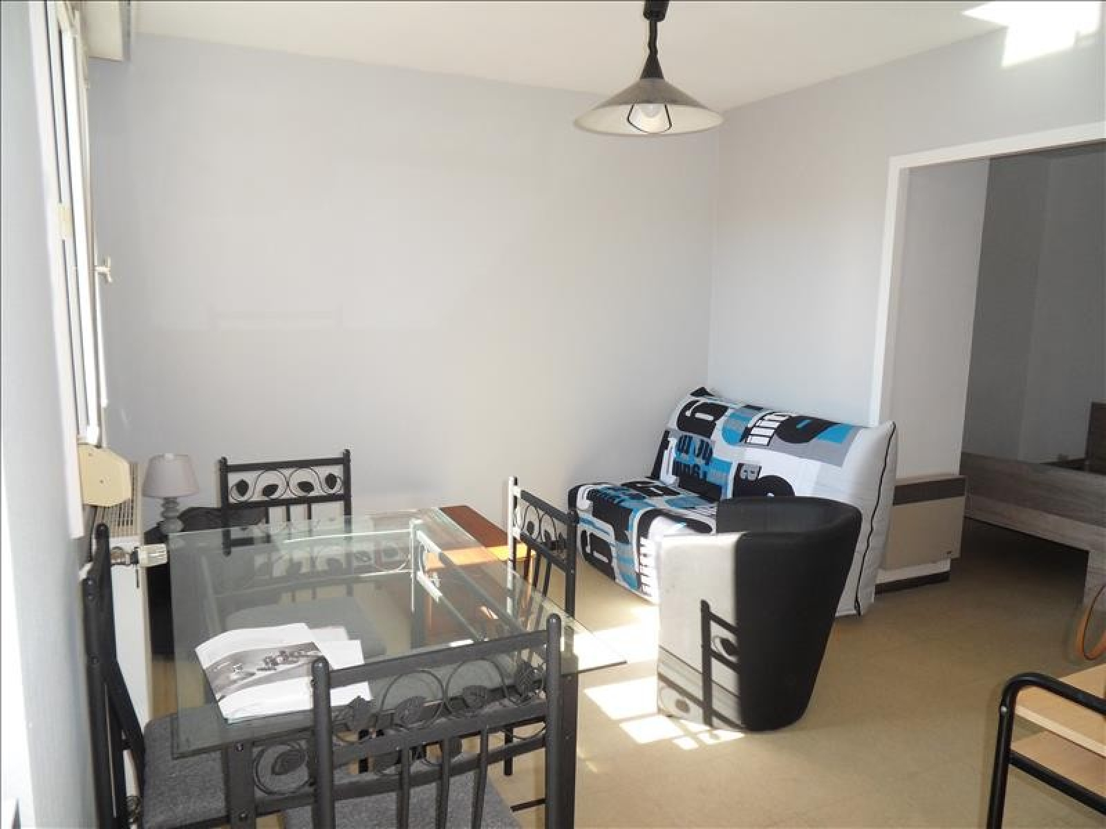 Image_, Appartement, Lyon, ref :VAP100002419