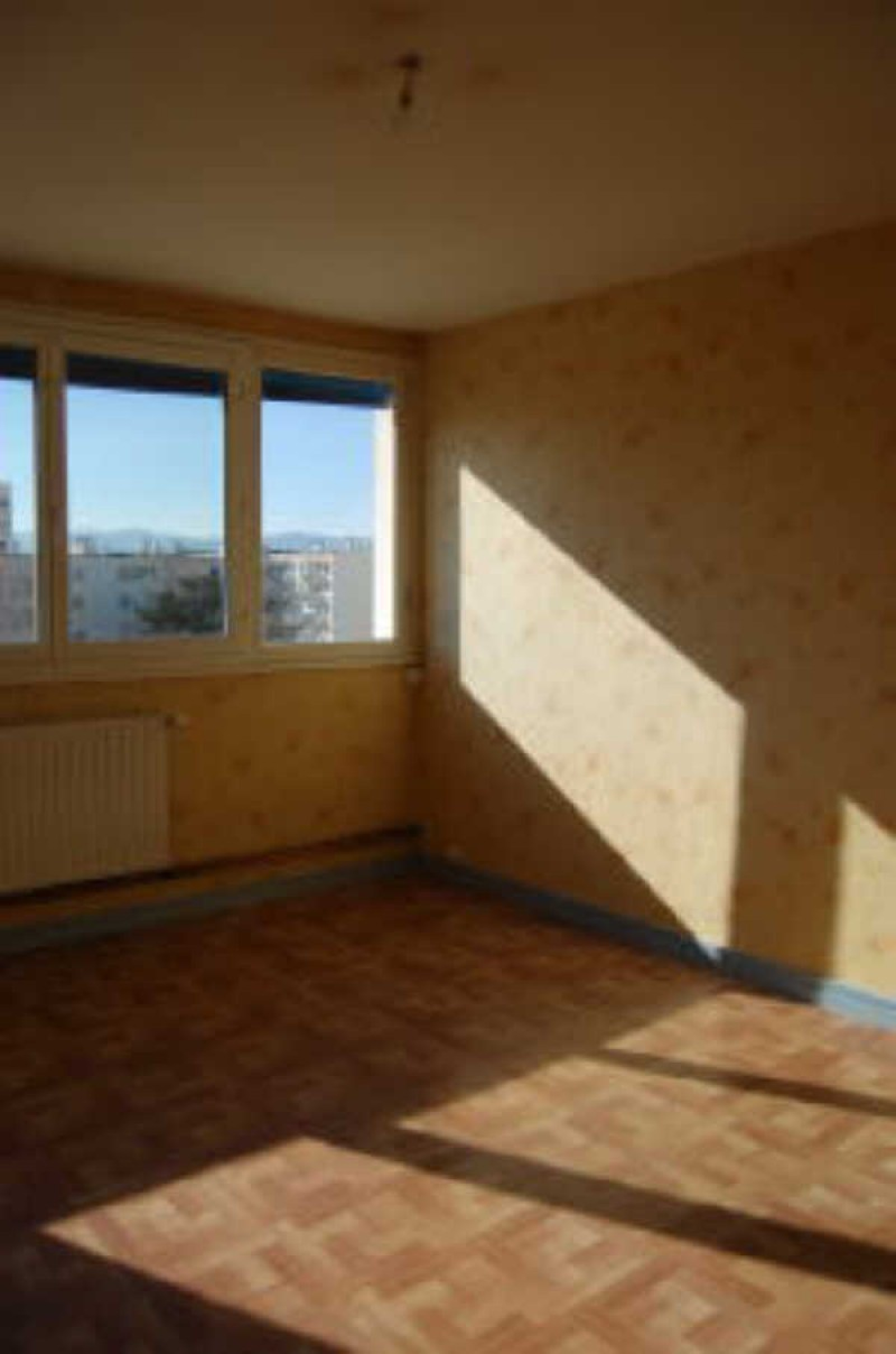 Image_, Appartement, Lyon, ref :00228