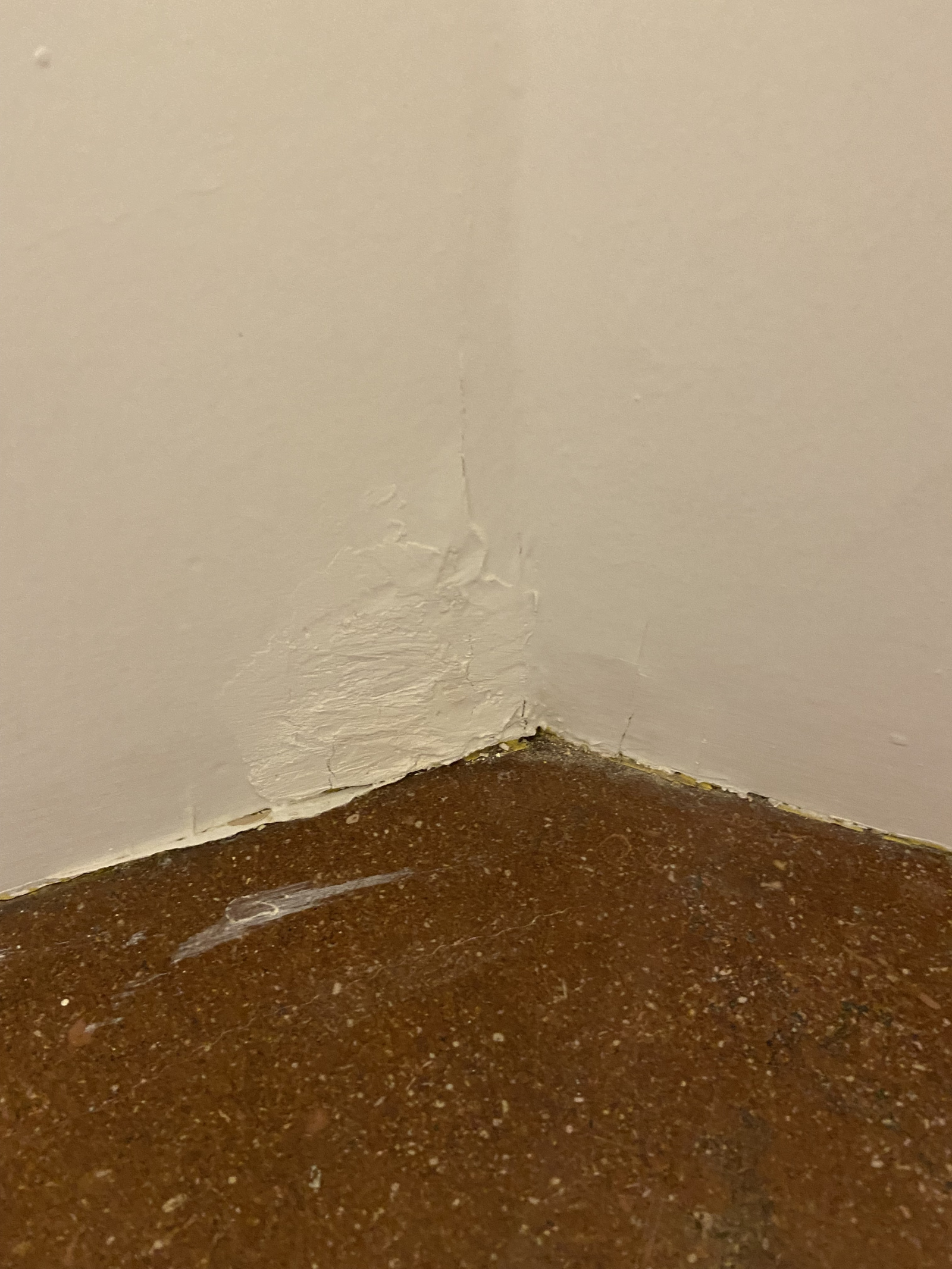 Image_, Maison, Villeurbanne, ref :LMA100002502