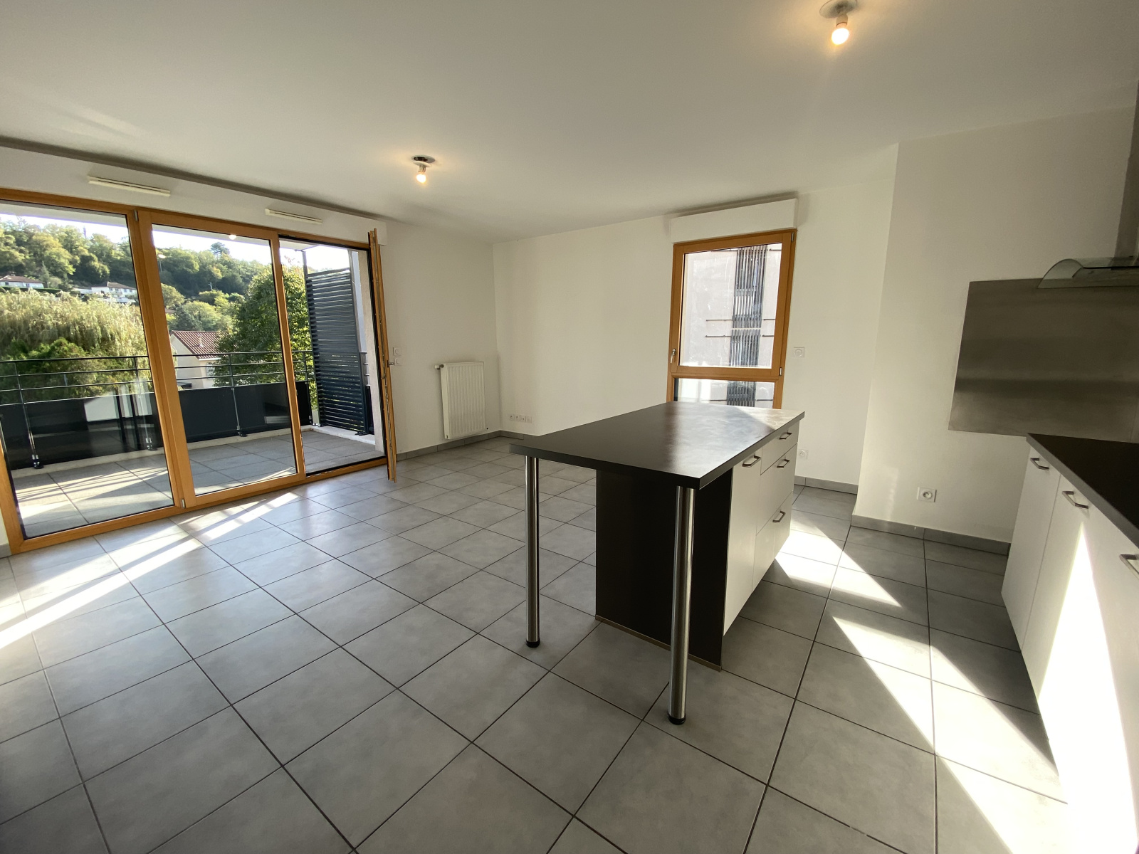 Image_, Appartement, Sainte Foy lès Lyon, ref :01451