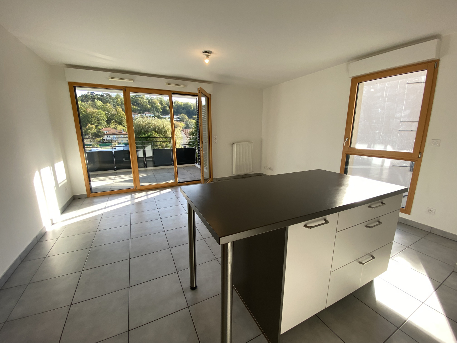 Image_, Appartement, Sainte Foy lès Lyon, ref :01451