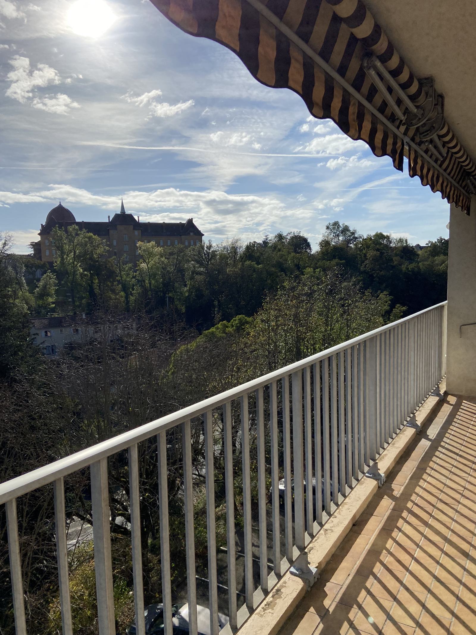Image_, Appartement, Sainte Foy lès Lyon, ref :VAP100002505