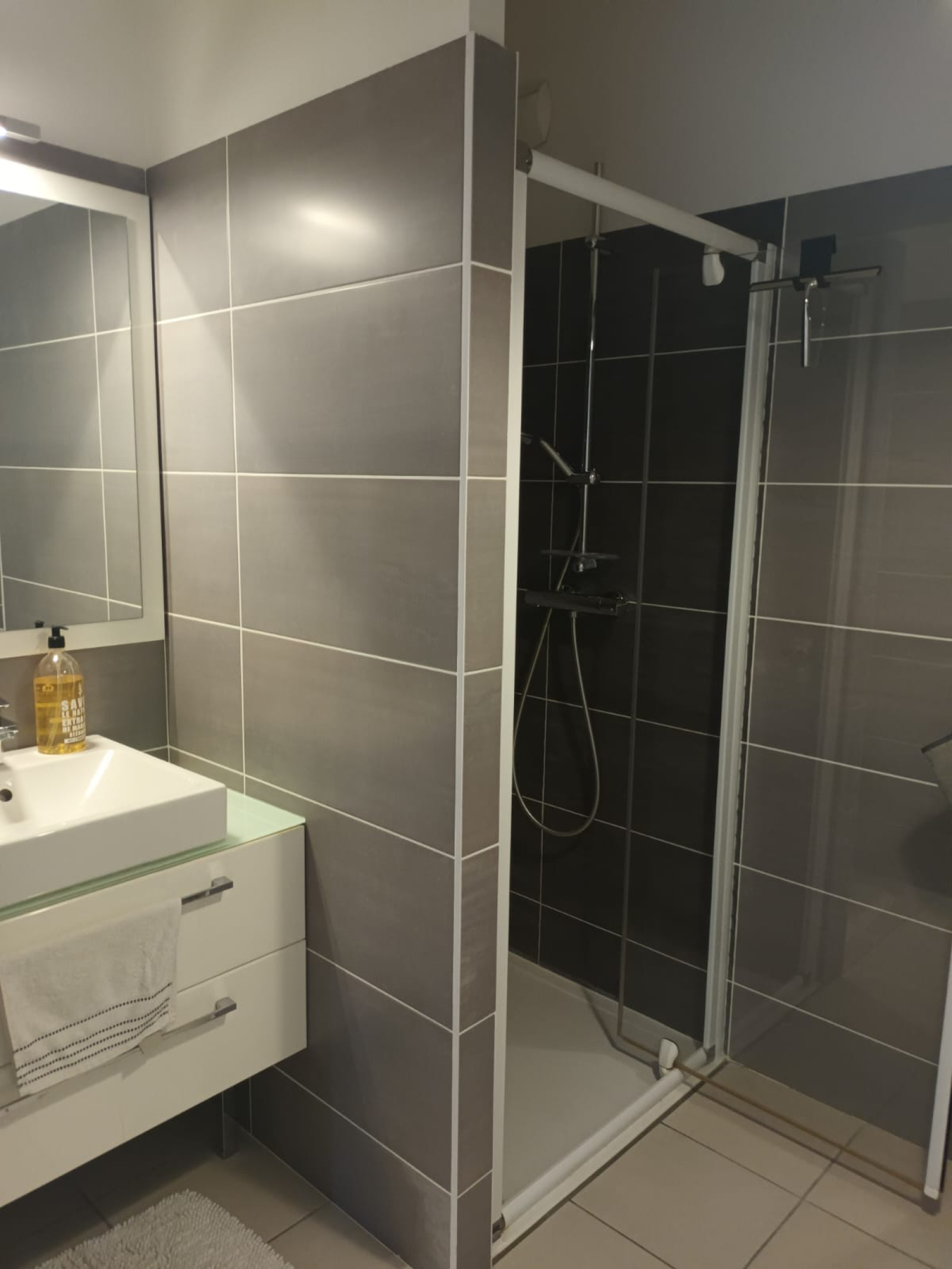Image_, Appartement, Lyon, ref :LAP260002572