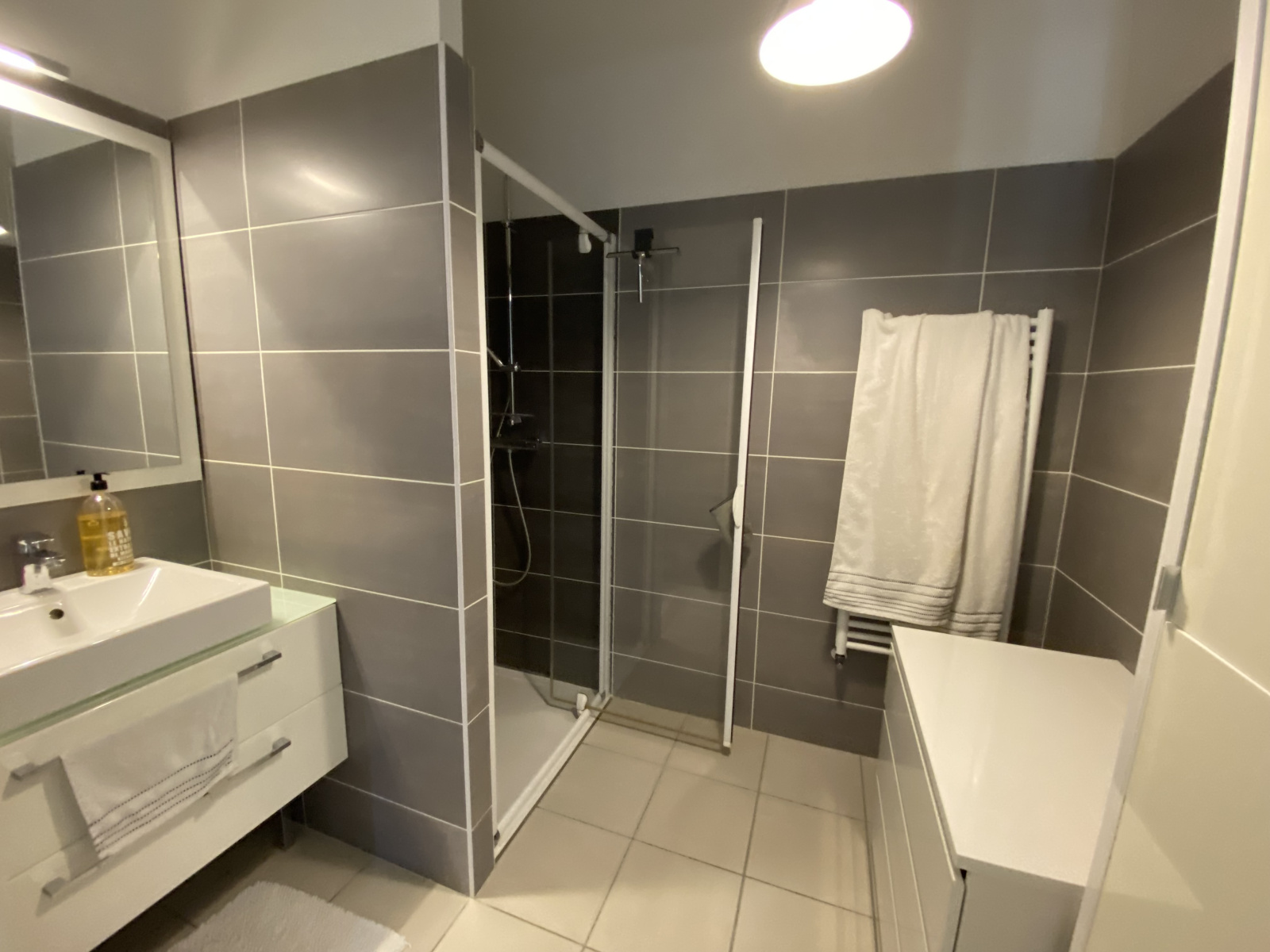 Image_, Appartement, Lyon, ref :LAP260002572