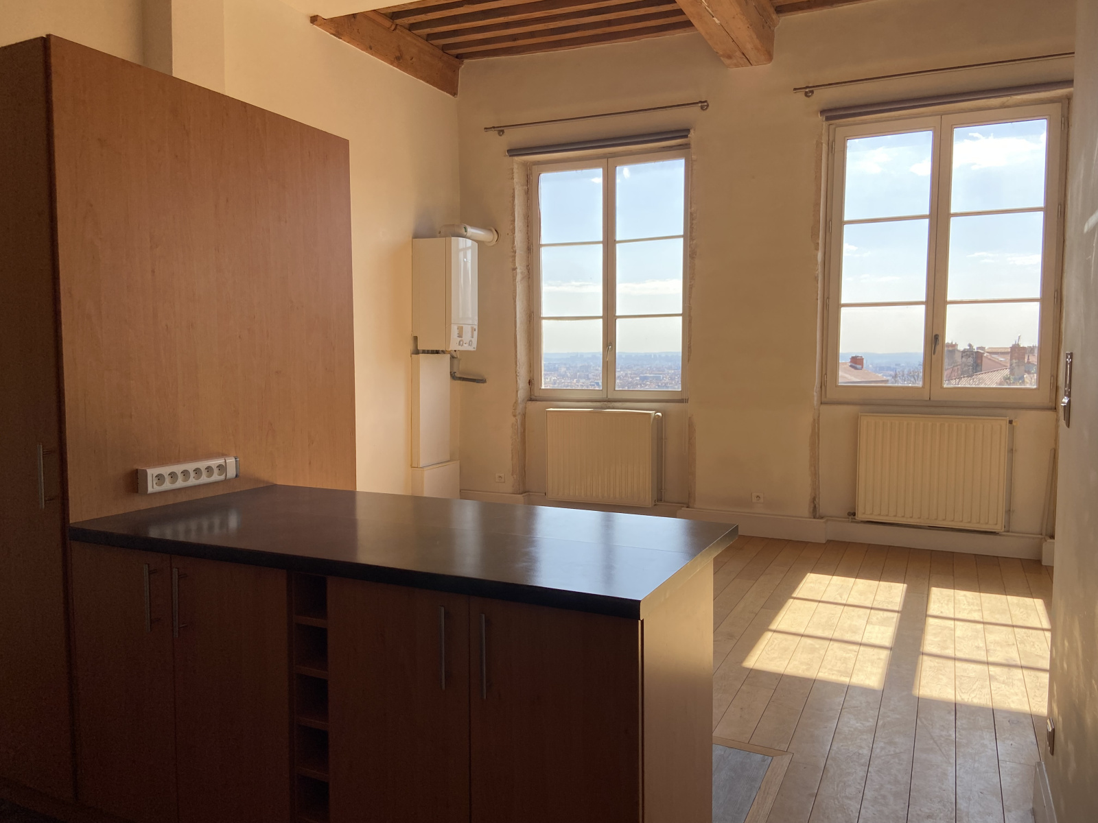Image_, Appartement, Lyon, ref :LAP260002546