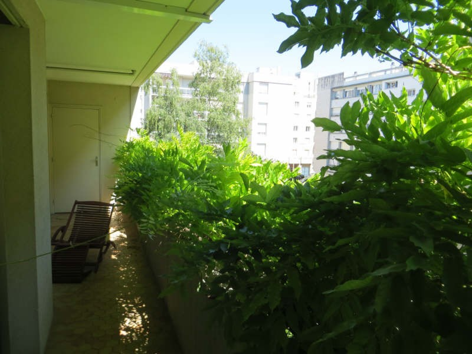 Image_, Appartement, Lyon, ref :01094