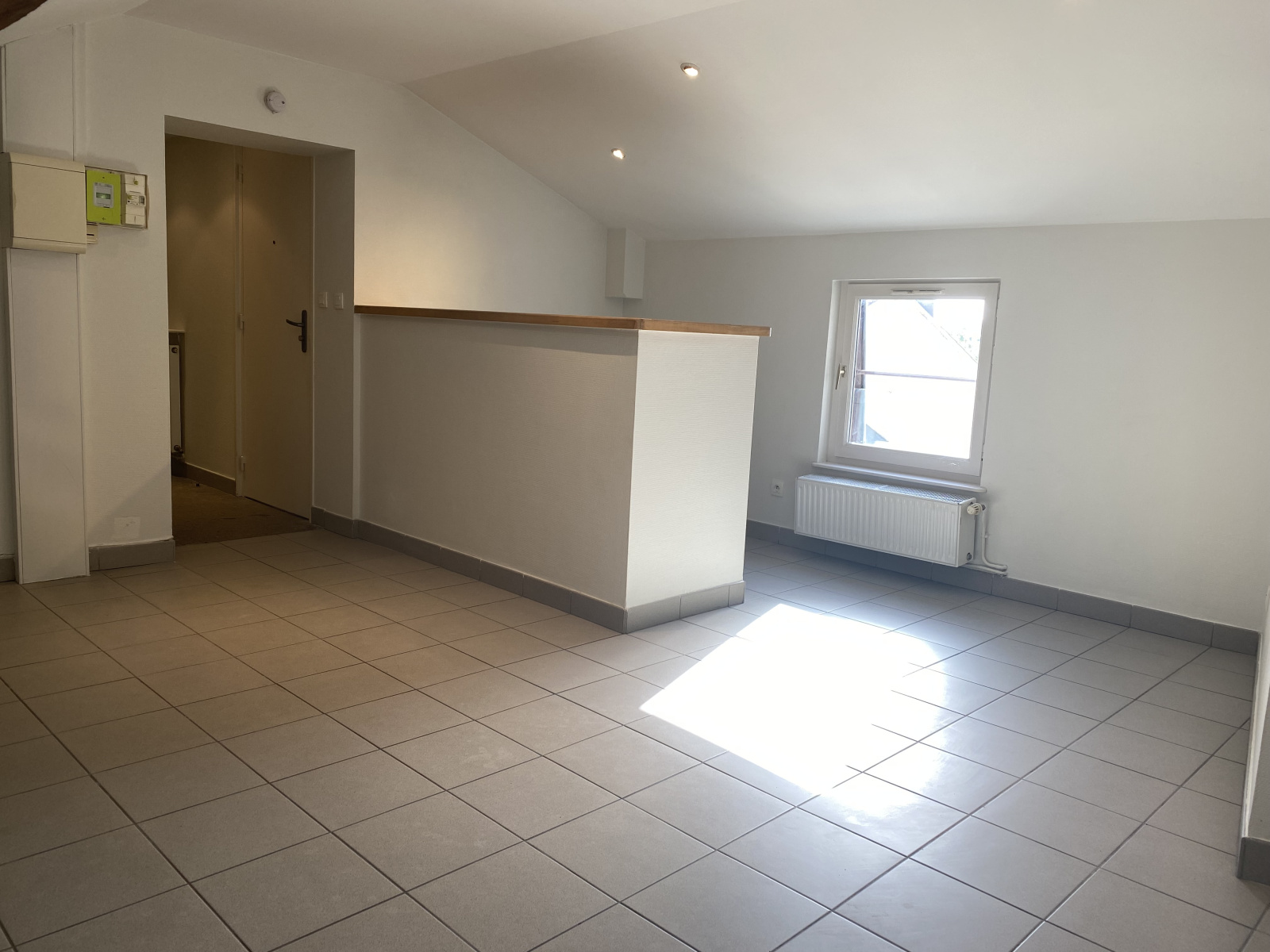 Image_, Appartement, Lyon, ref :LAP260002452