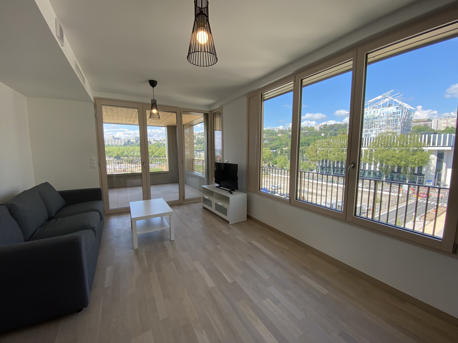 Image_, Appartement, Lyon, ref :LAP260002477