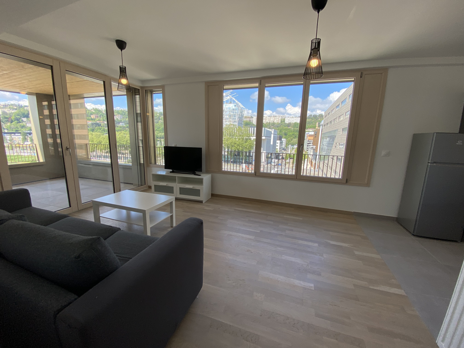 Image_, Appartement, Lyon, ref :LAP260002477