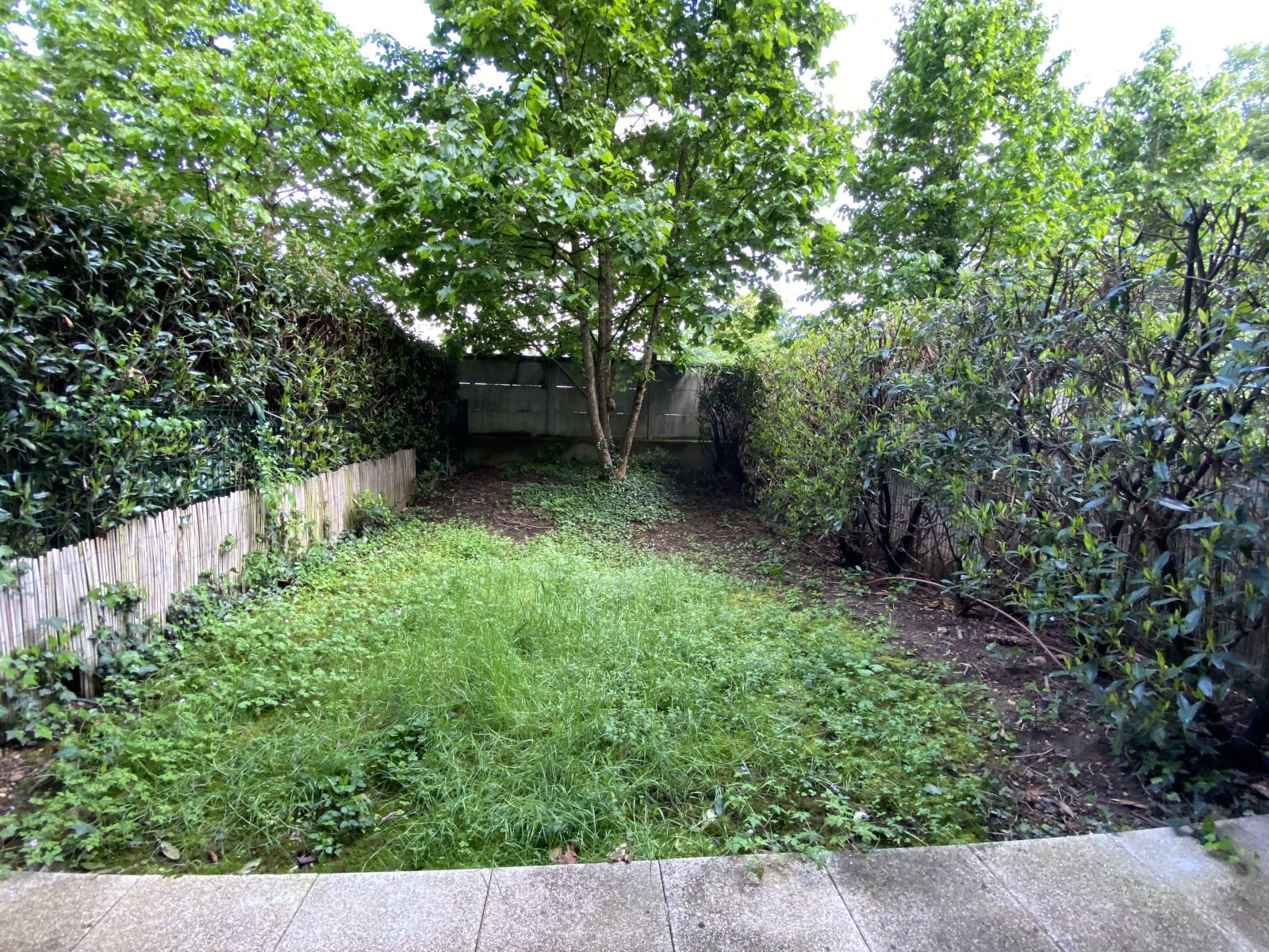 Image_, Studio, Lyon, ref :LST260002554