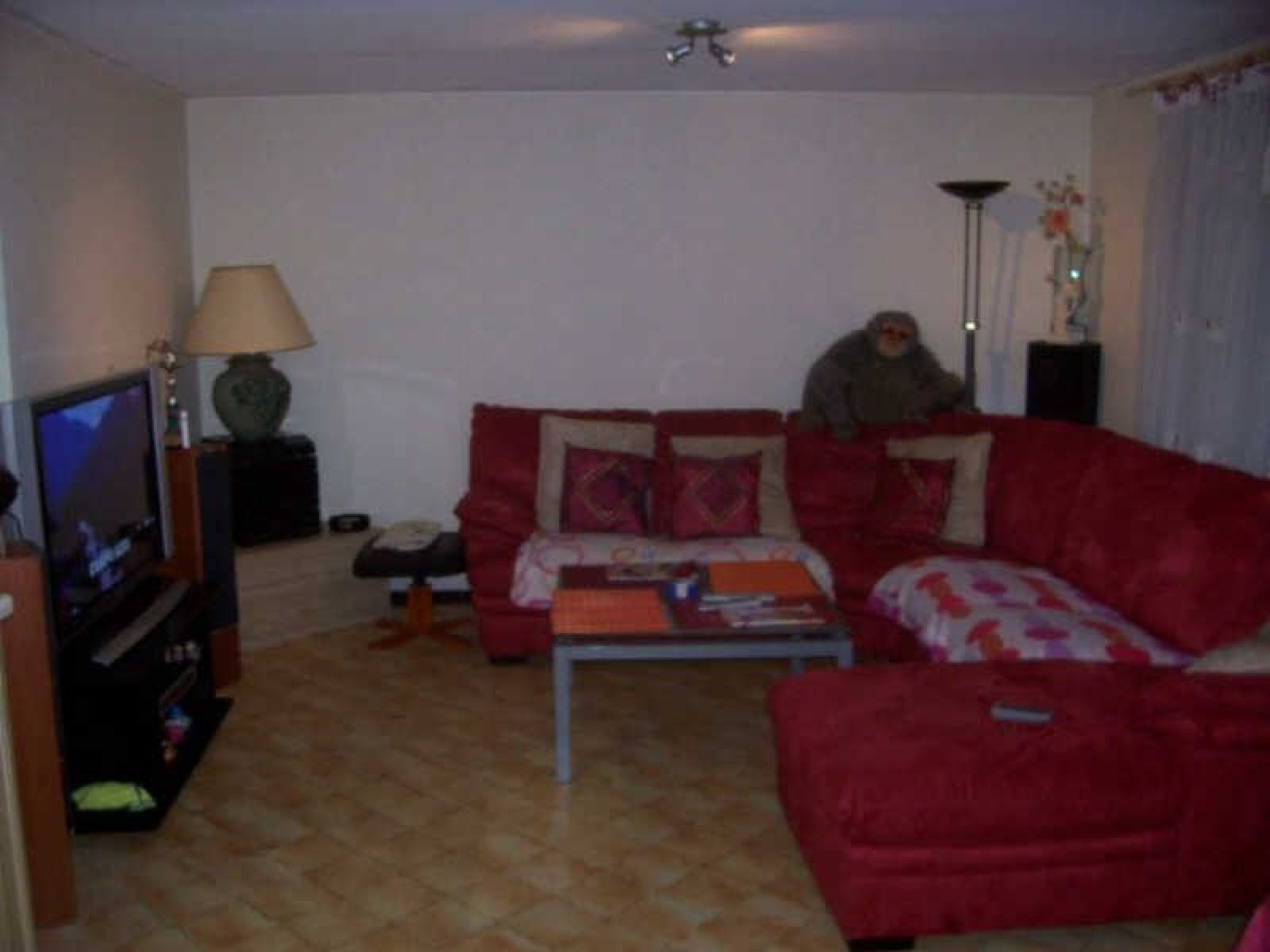 Image_, Appartement, Brignais, ref :00214