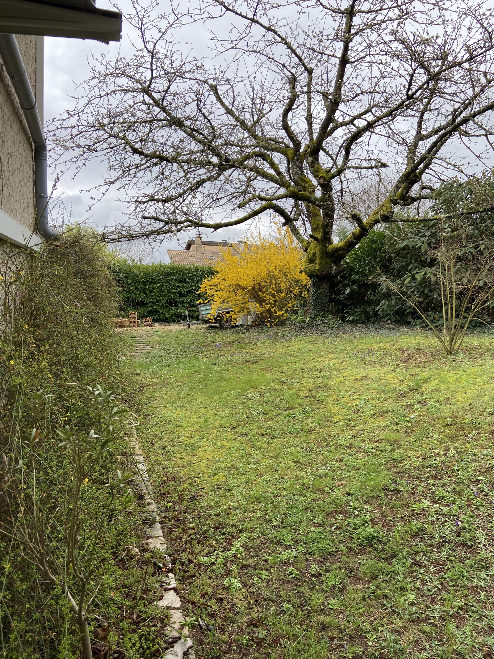 Image_, Villa, Chaponost, ref :VVI100002552