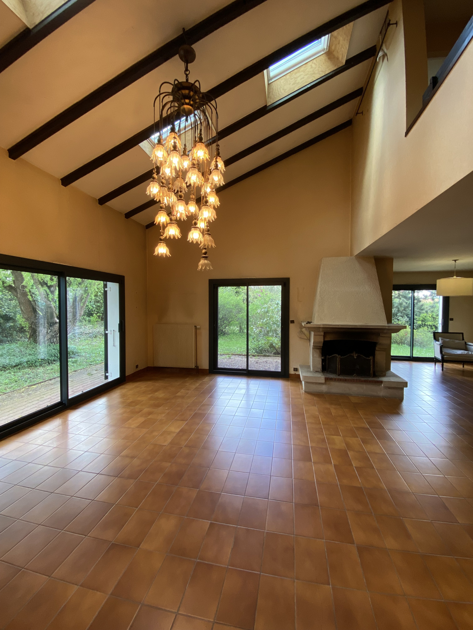 Image_, Villa, Chaponost, ref :VVI100002552