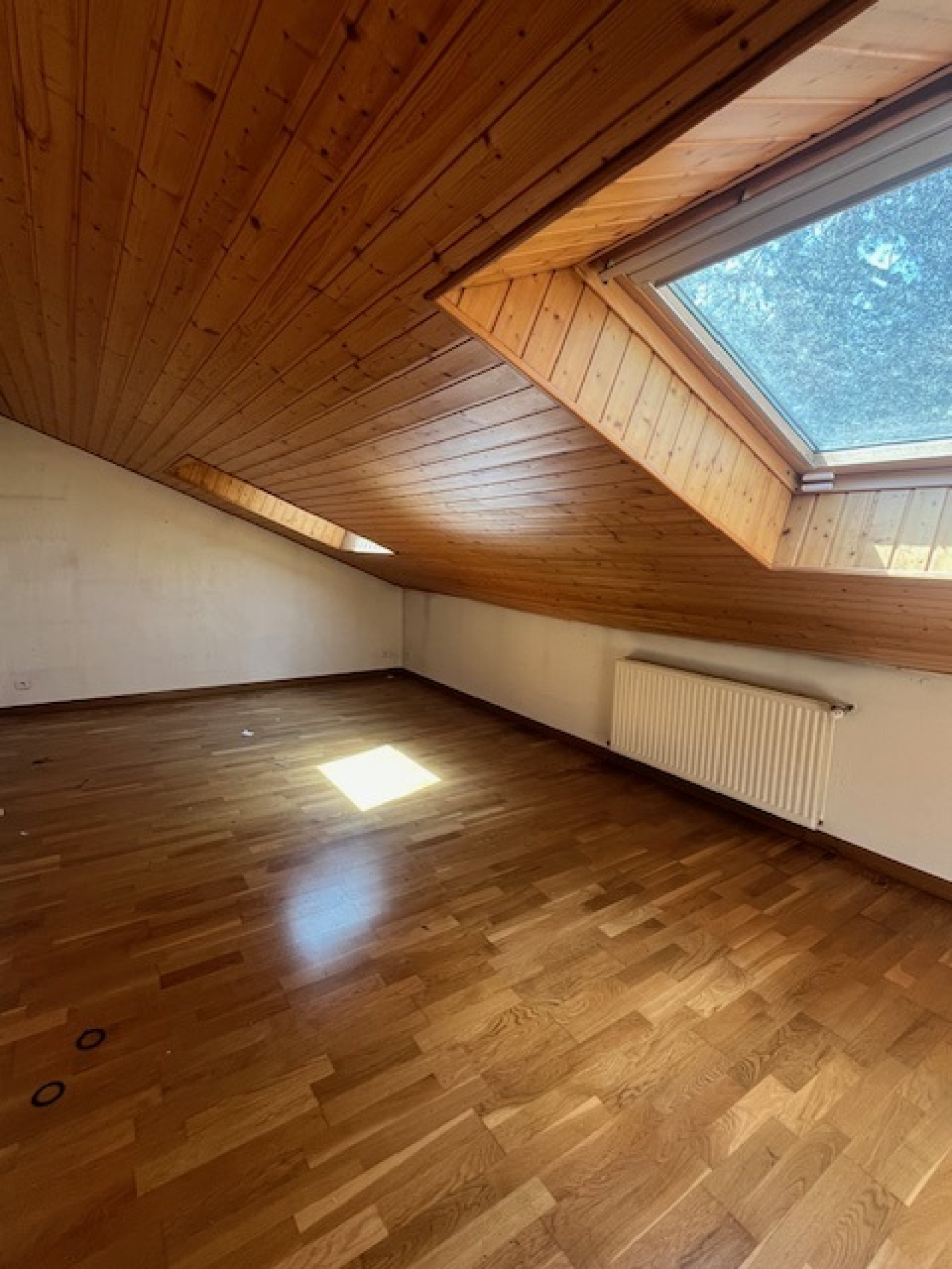 Image_, Villa, Chaponost, ref :VVI100002552